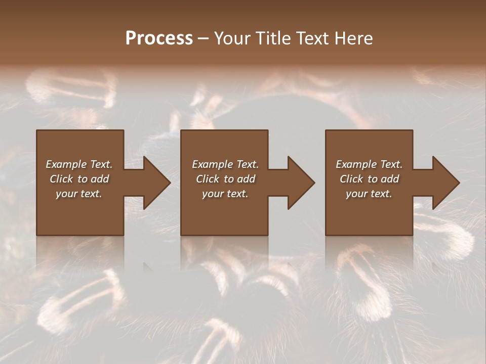 Wild Closeup Spooky PowerPoint Template