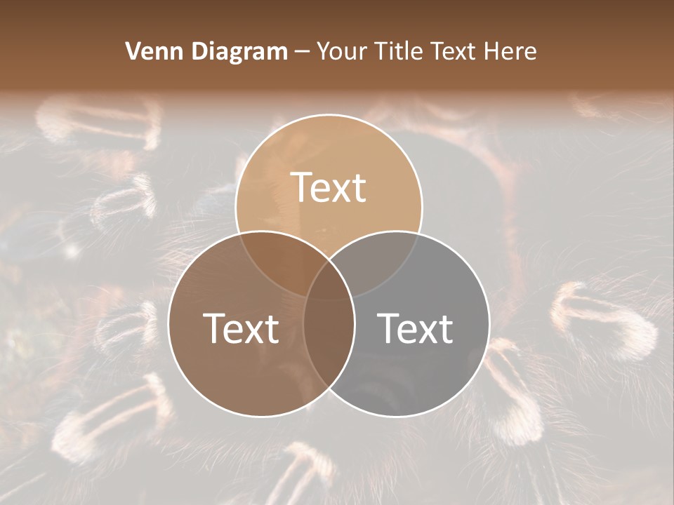 Wild Closeup Spooky PowerPoint Template