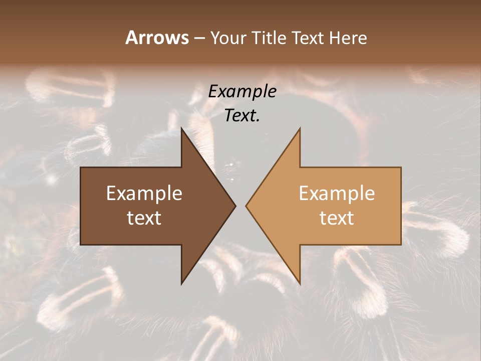 Wild Closeup Spooky PowerPoint Template