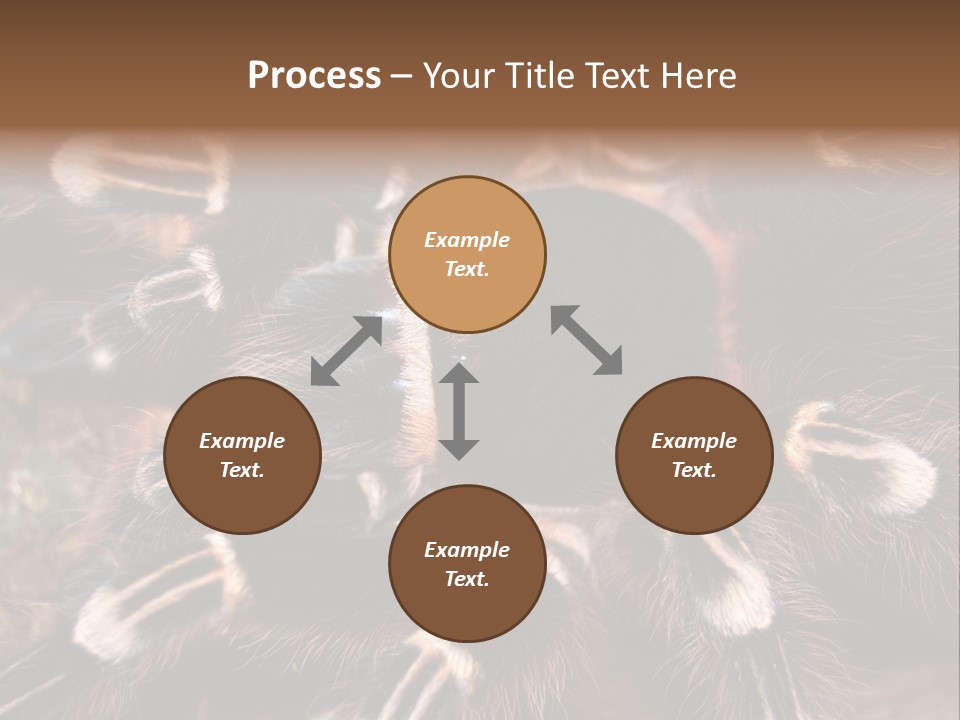 Wild Closeup Spooky PowerPoint Template