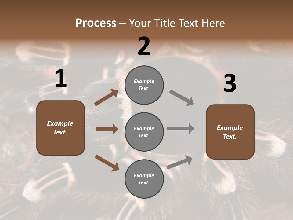 Wild Closeup Spooky PowerPoint Template