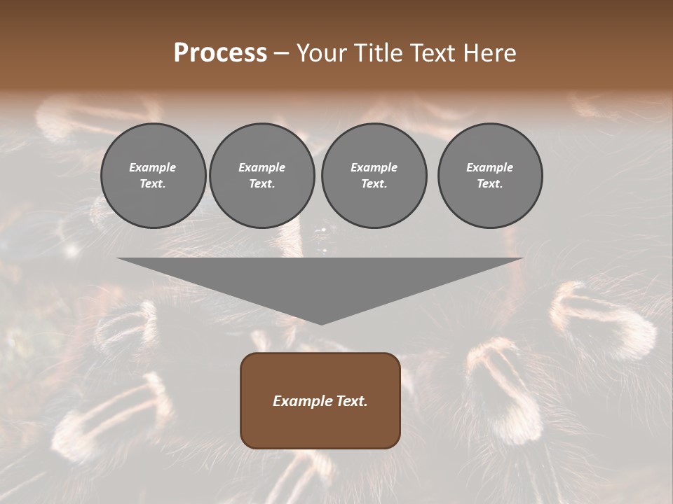 Wild Closeup Spooky PowerPoint Template