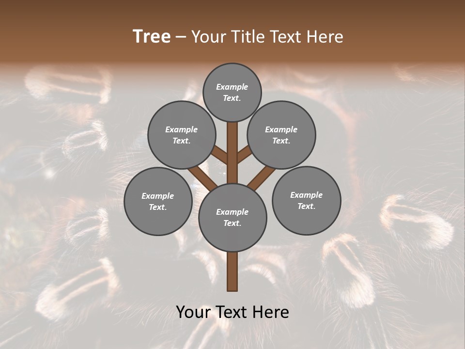 Wild Closeup Spooky PowerPoint Template