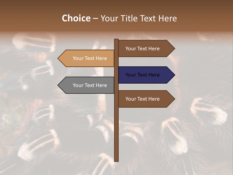 Wild Closeup Spooky PowerPoint Template