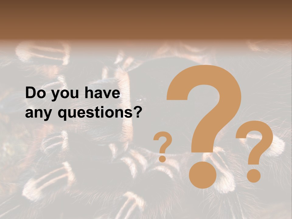 Wild Closeup Spooky PowerPoint Template