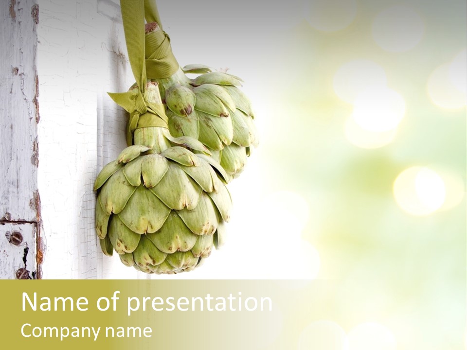 A Bunch Of Unripe Bananas Hanging On A Wall PowerPoint Template