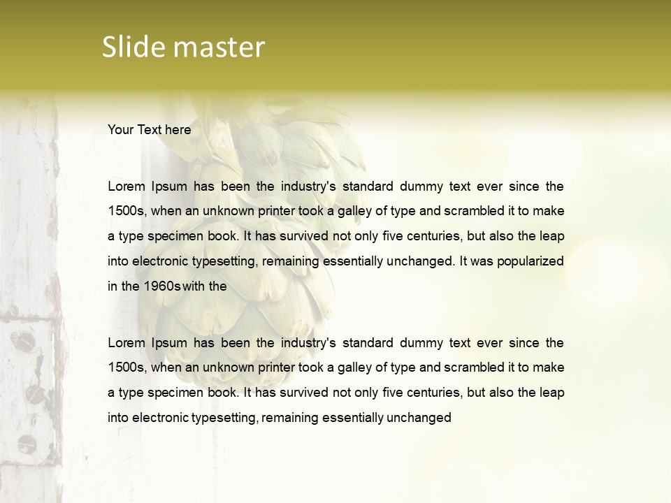 A Bunch Of Unripe Bananas Hanging On A Wall PowerPoint Template