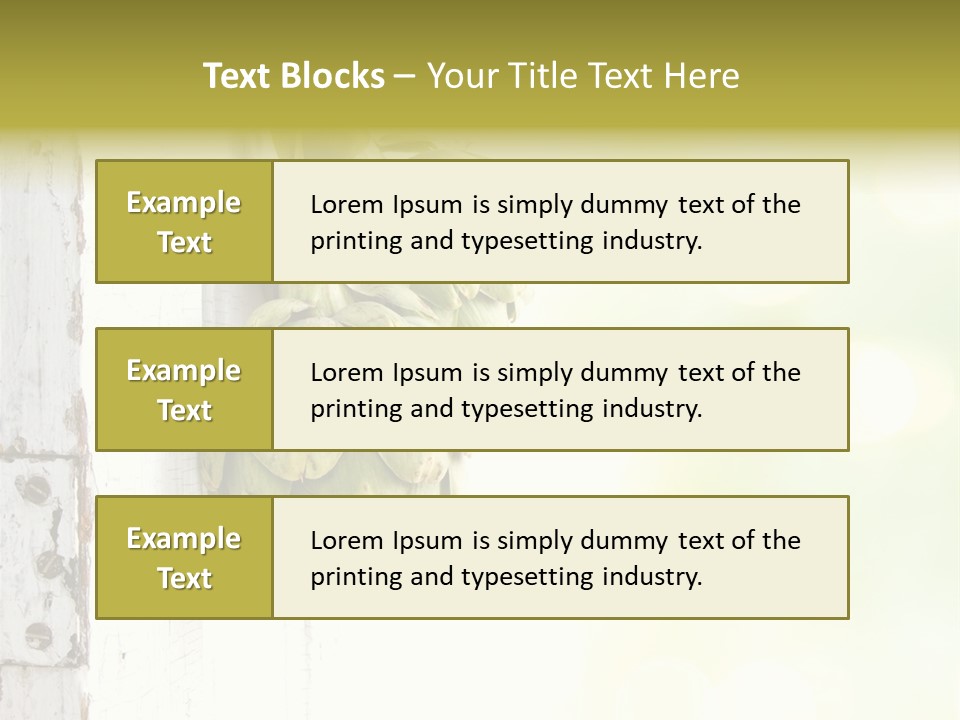 A Bunch Of Unripe Bananas Hanging On A Wall PowerPoint Template