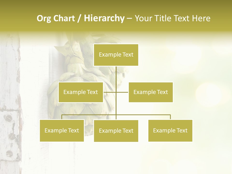 A Bunch Of Unripe Bananas Hanging On A Wall PowerPoint Template