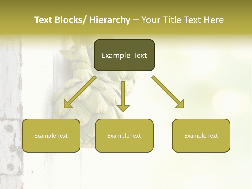 A Bunch Of Unripe Bananas Hanging On A Wall PowerPoint Template