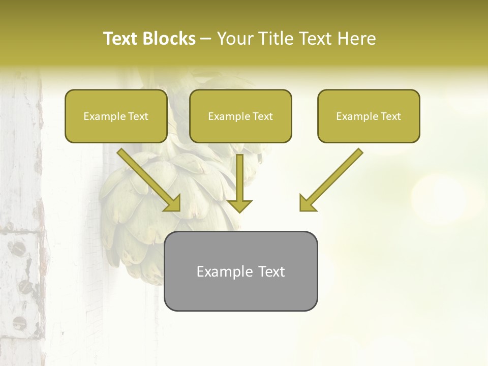 A Bunch Of Unripe Bananas Hanging On A Wall PowerPoint Template