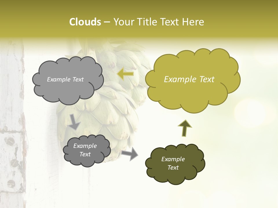 A Bunch Of Unripe Bananas Hanging On A Wall PowerPoint Template