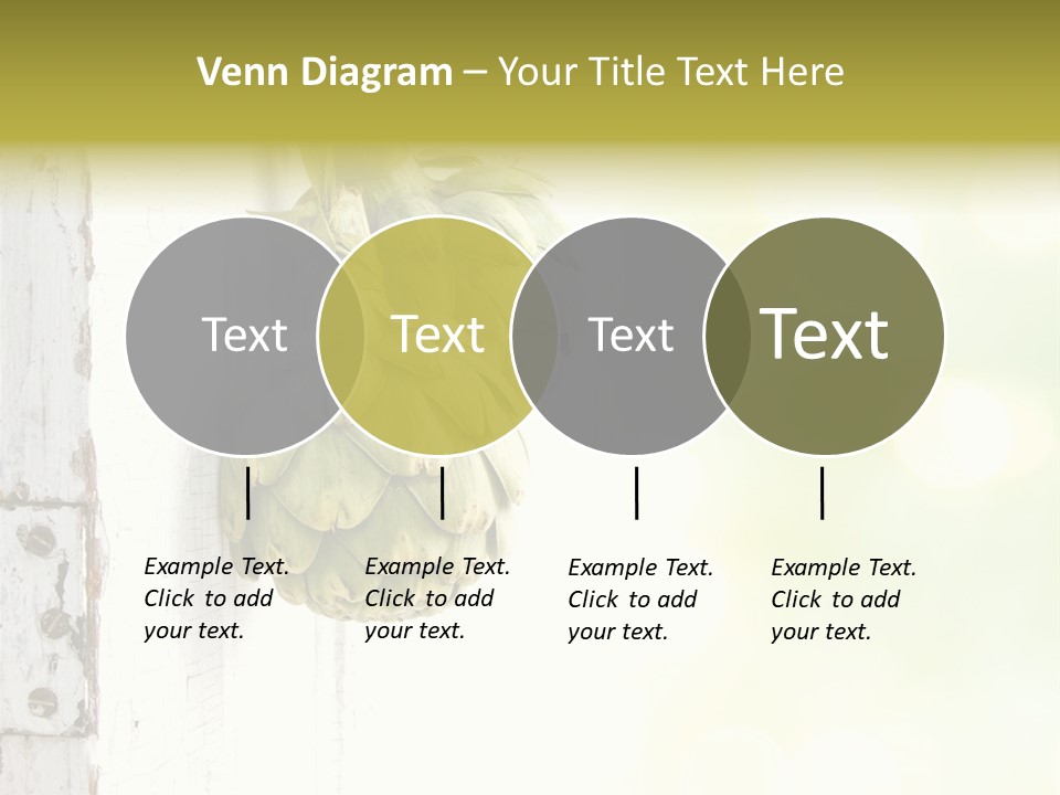 A Bunch Of Unripe Bananas Hanging On A Wall PowerPoint Template