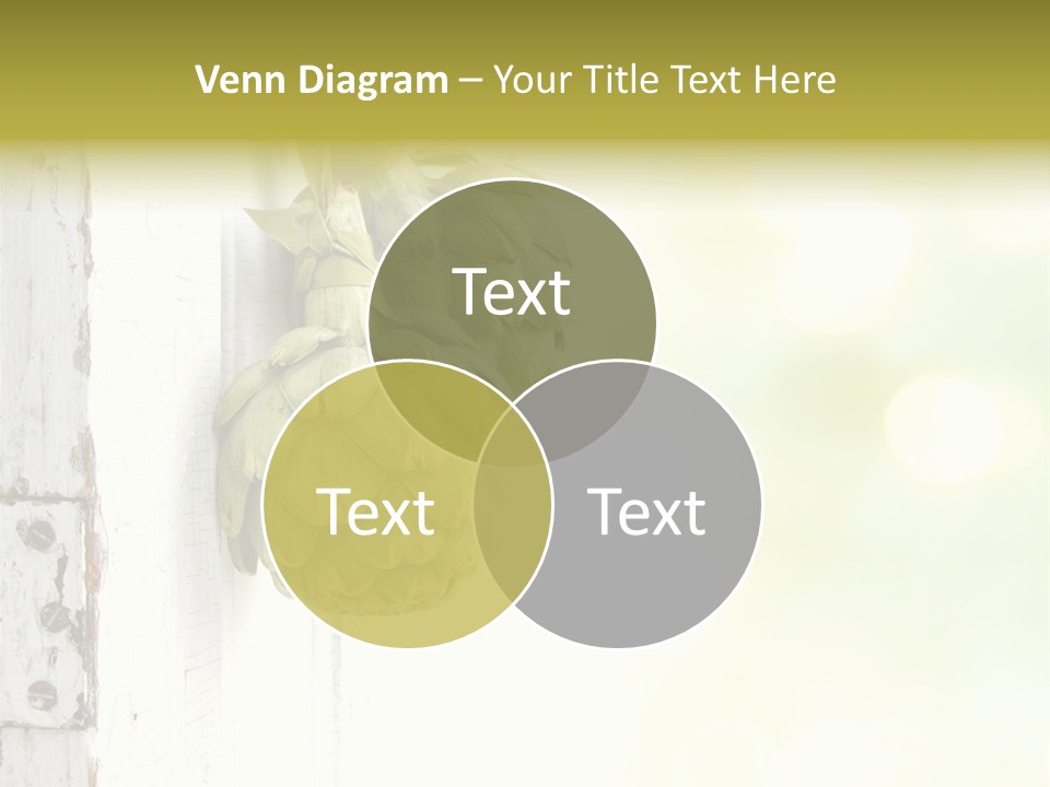 A Bunch Of Unripe Bananas Hanging On A Wall PowerPoint Template