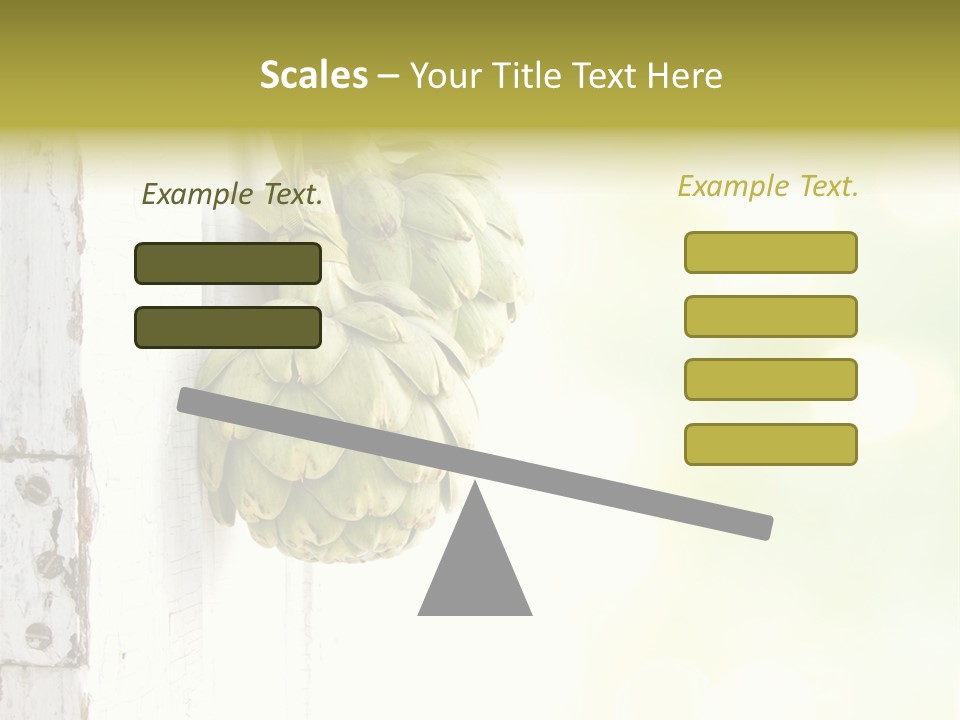 A Bunch Of Unripe Bananas Hanging On A Wall PowerPoint Template