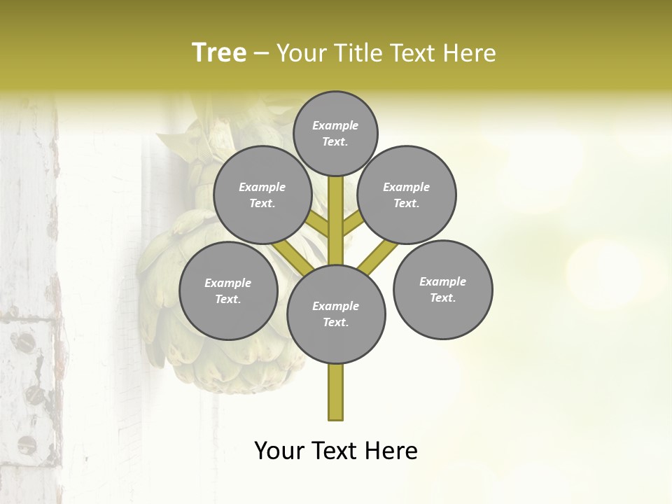 A Bunch Of Unripe Bananas Hanging On A Wall PowerPoint Template