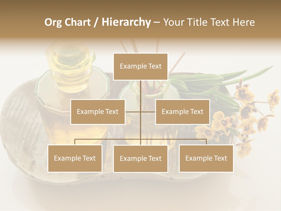 Herb Herbal Aromatherapy PowerPoint Template