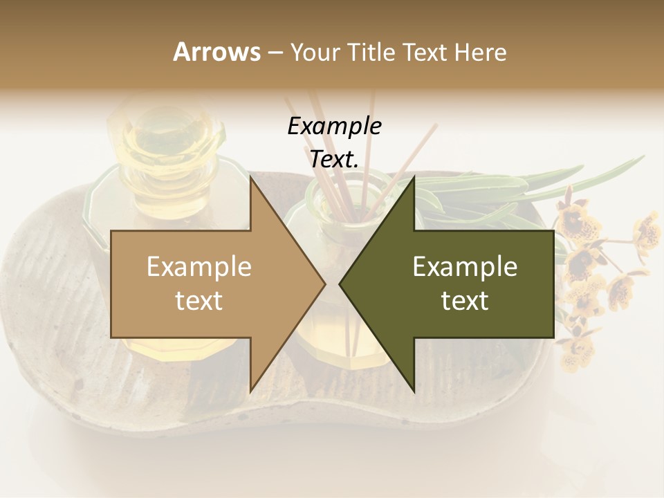 Herb Herbal Aromatherapy PowerPoint Template