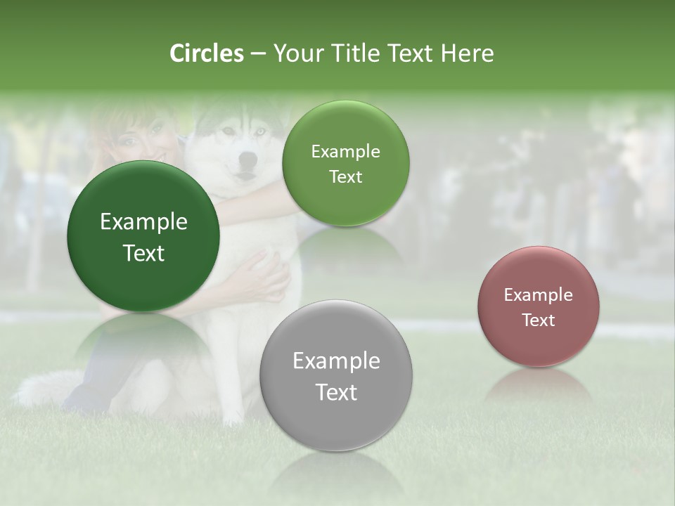 White Dog Day PowerPoint Template