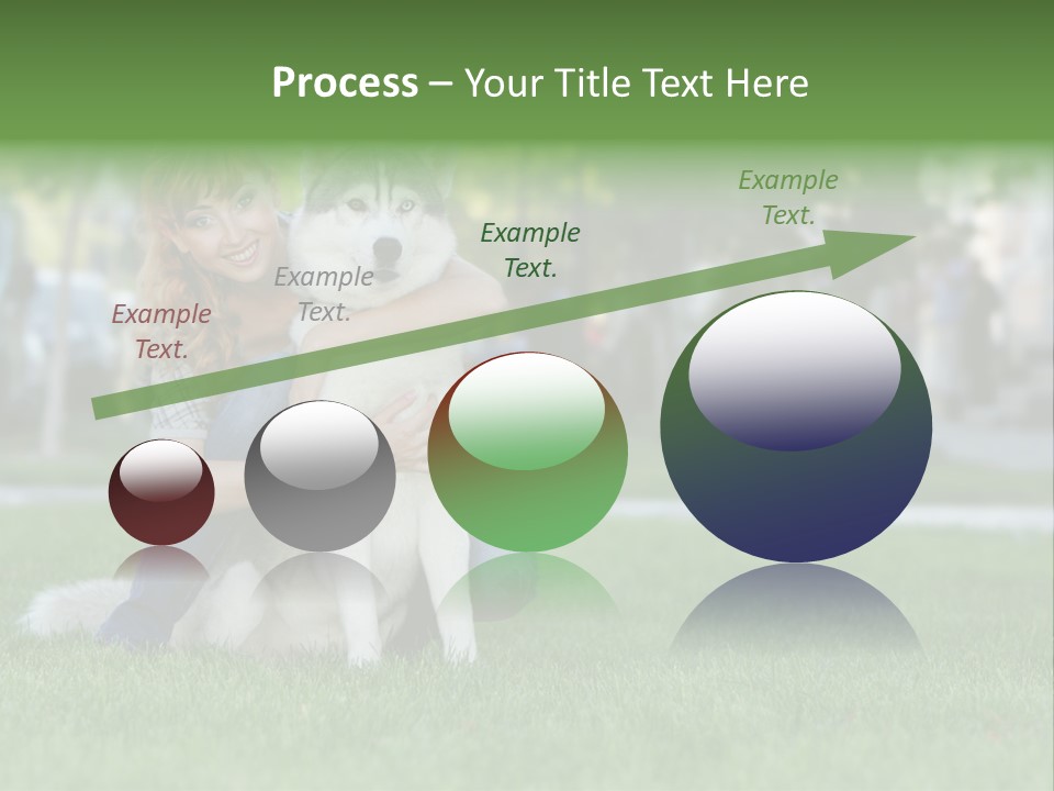 White Dog Day PowerPoint Template