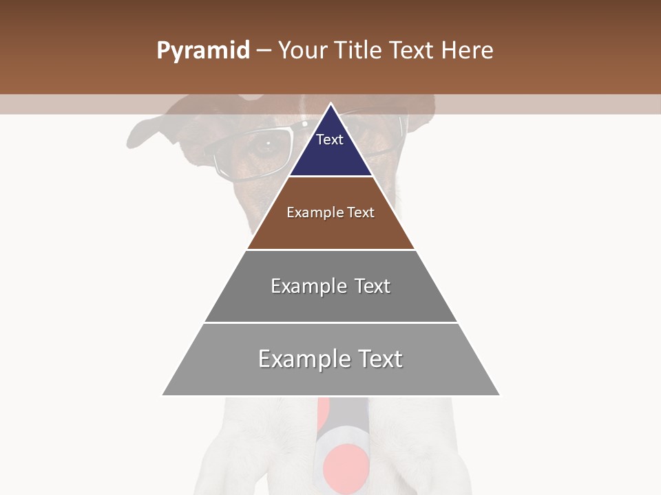 Glasses Document Pencil PowerPoint Template