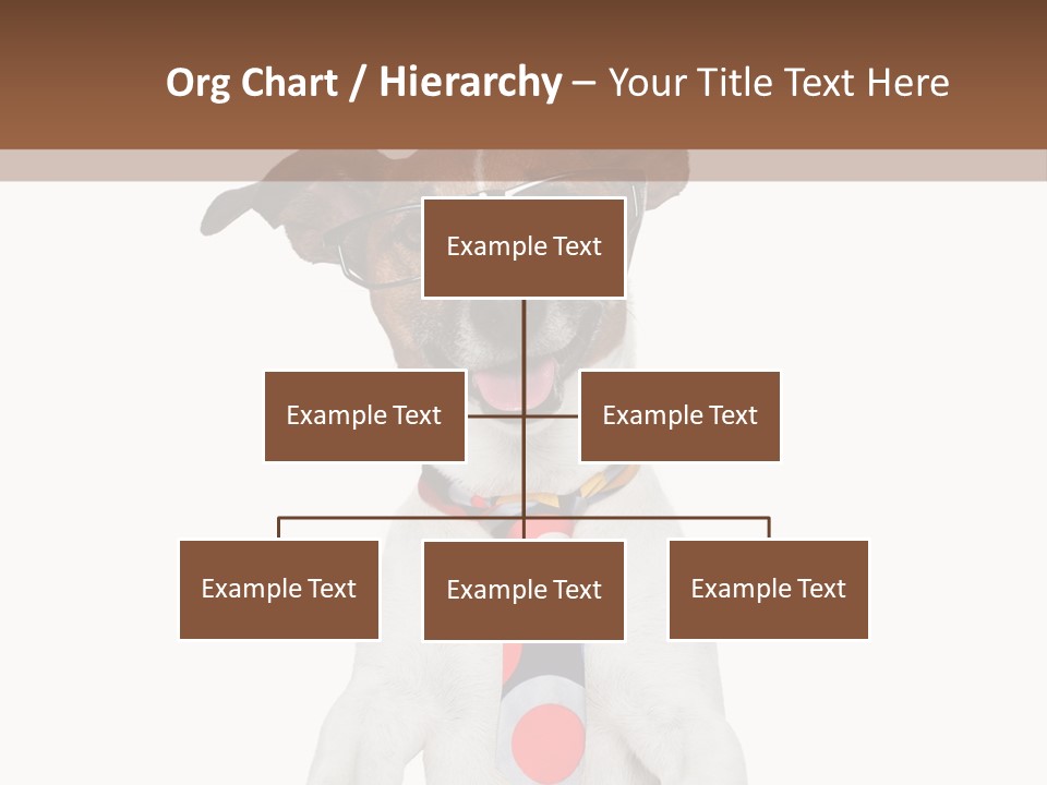 Glasses Document Pencil PowerPoint Template
