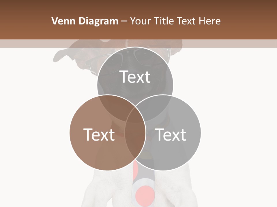 Glasses Document Pencil PowerPoint Template