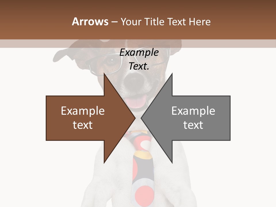 Glasses Document Pencil PowerPoint Template