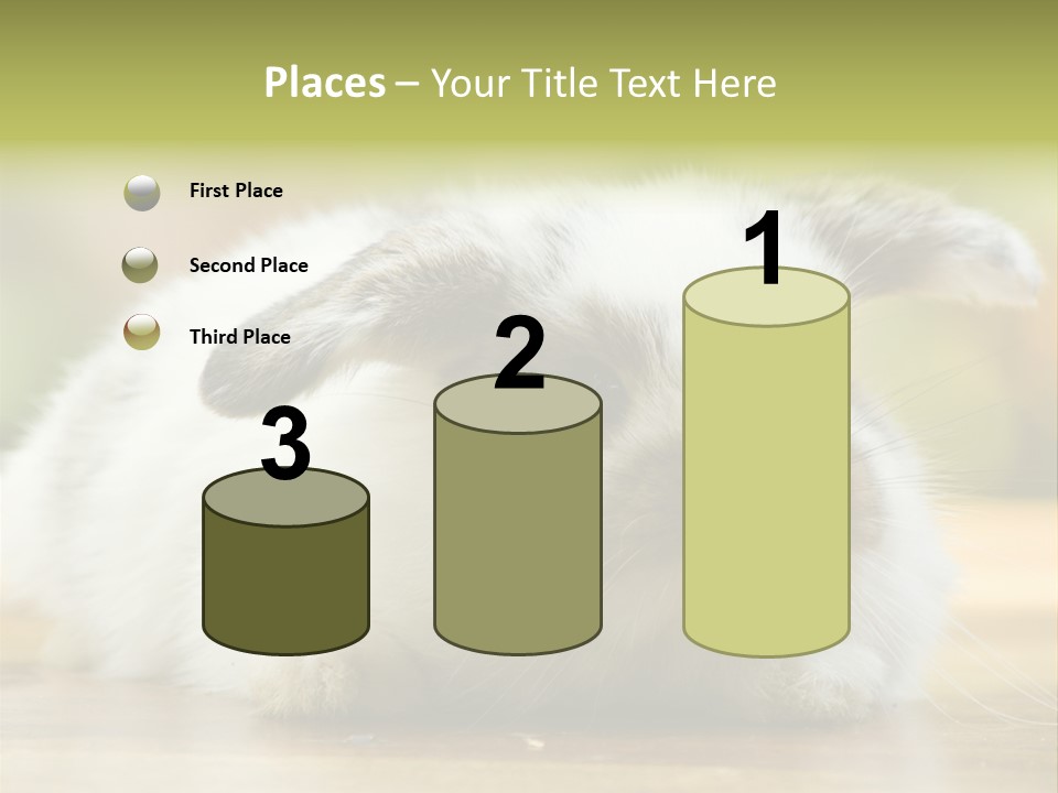 Furry Shot View PowerPoint Template