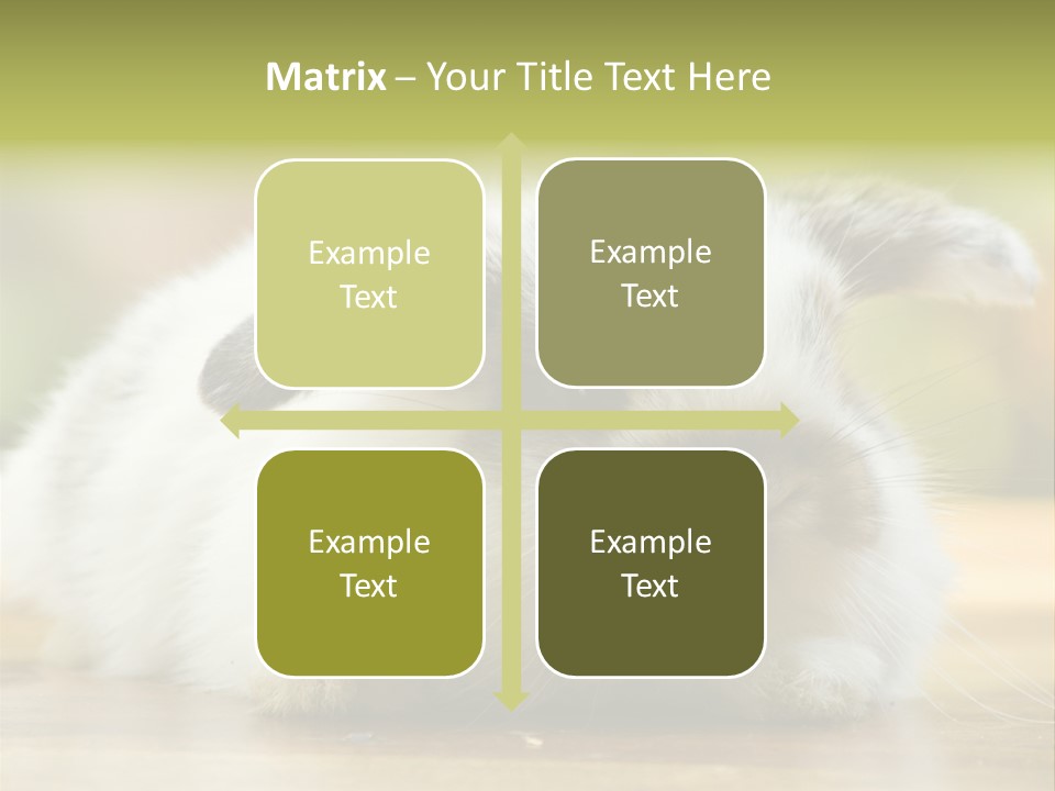 Furry Shot View PowerPoint Template