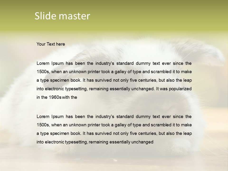 Furry Shot View PowerPoint Template