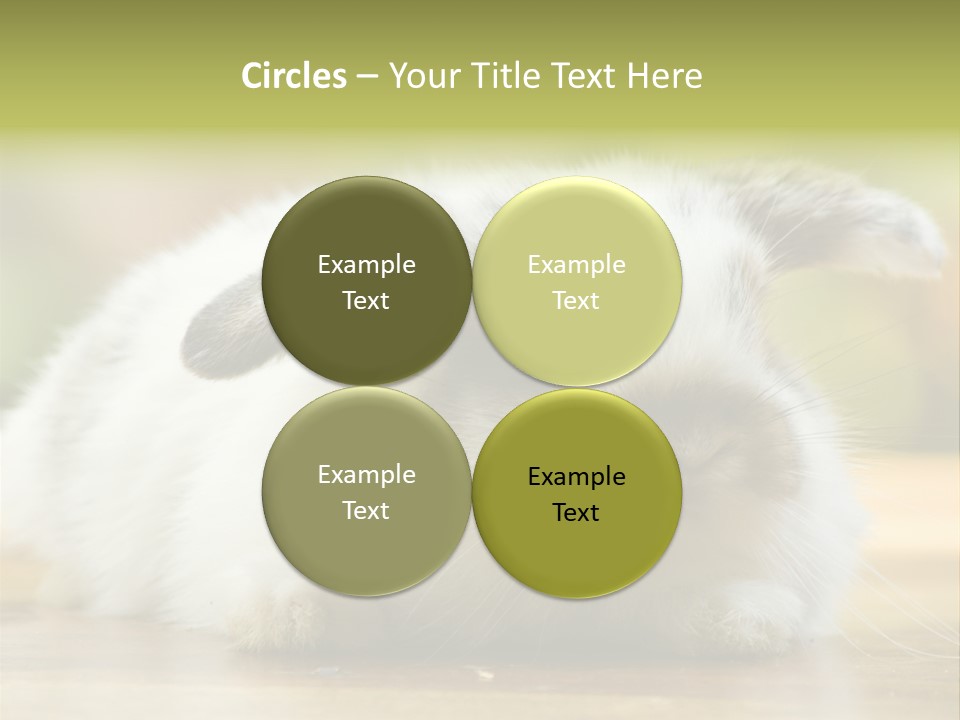 Furry Shot View PowerPoint Template