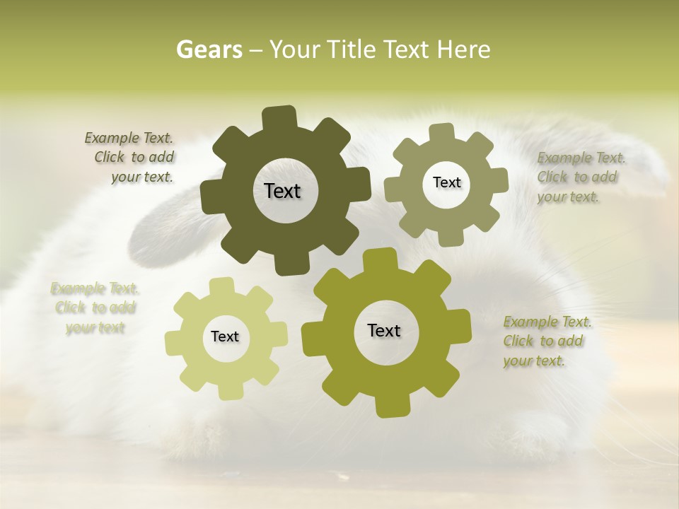 Furry Shot View PowerPoint Template