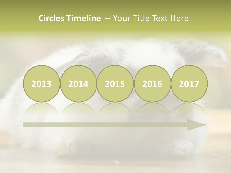 Furry Shot View PowerPoint Template