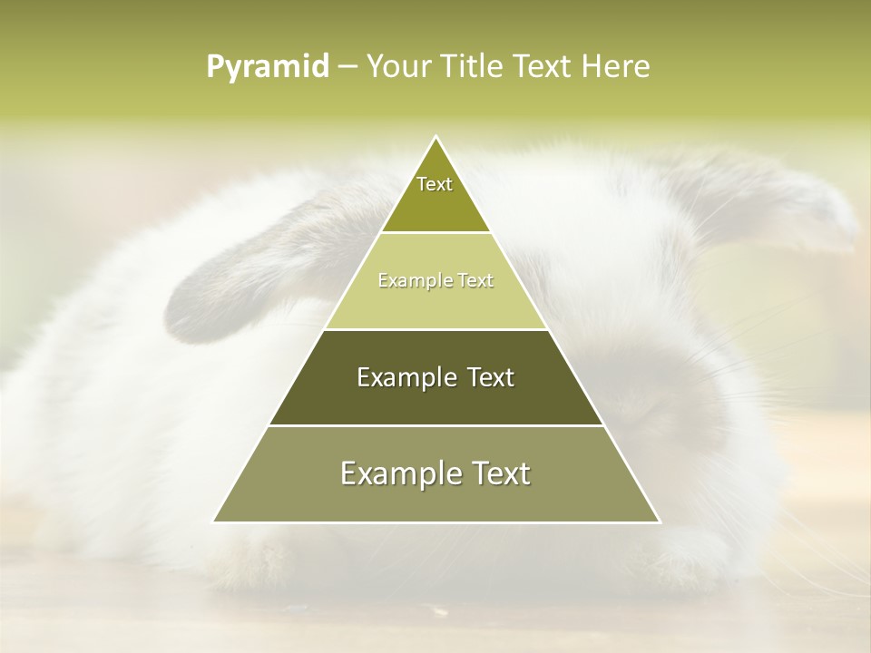 Furry Shot View PowerPoint Template