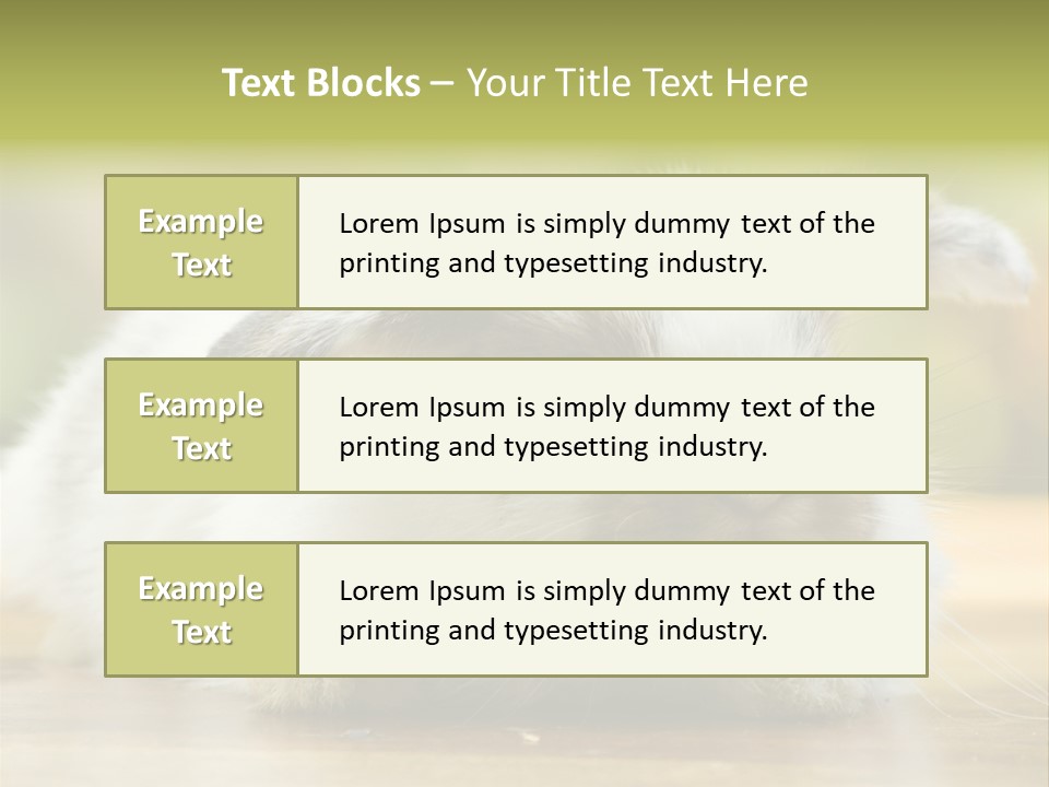 Furry Shot View PowerPoint Template