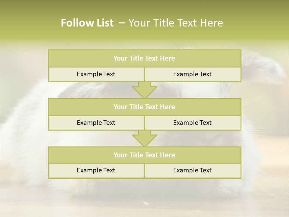 Furry Shot View PowerPoint Template