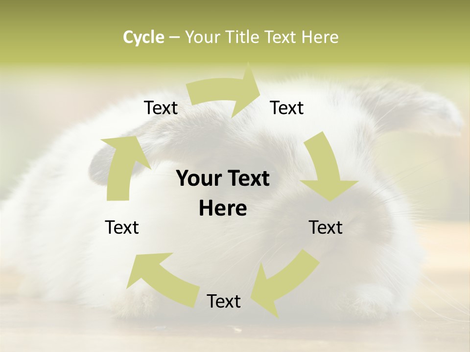 Furry Shot View PowerPoint Template