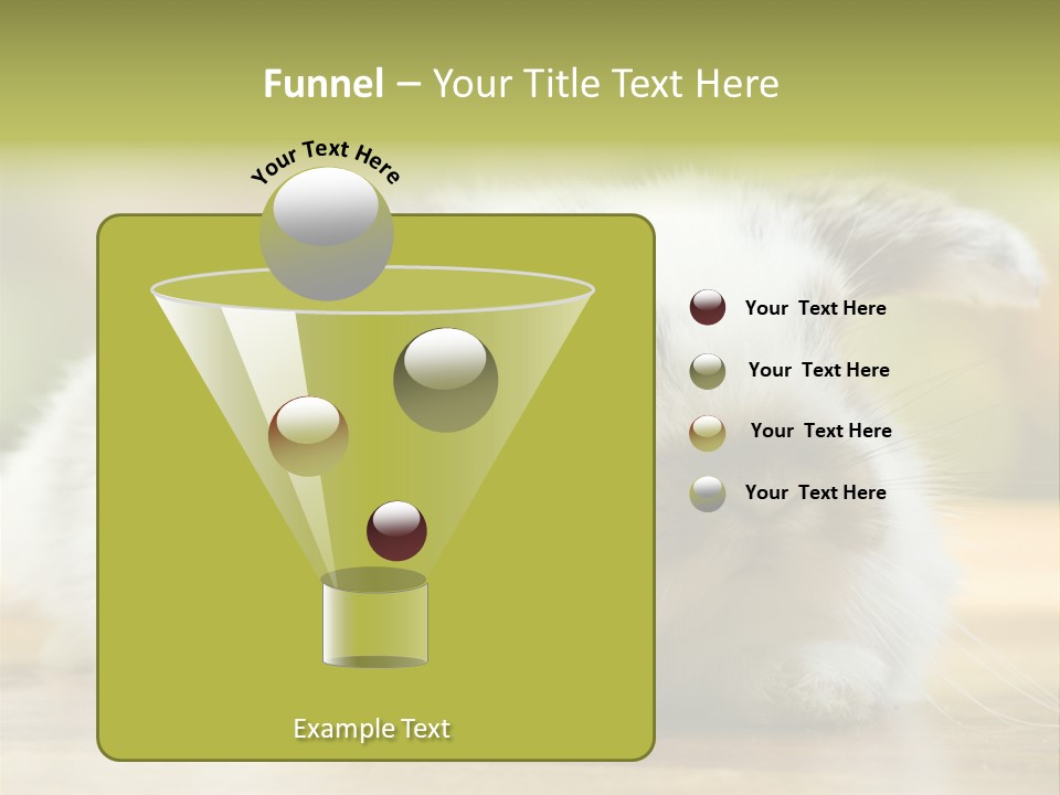 Furry Shot View PowerPoint Template