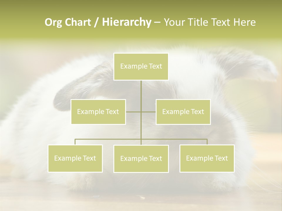Furry Shot View PowerPoint Template