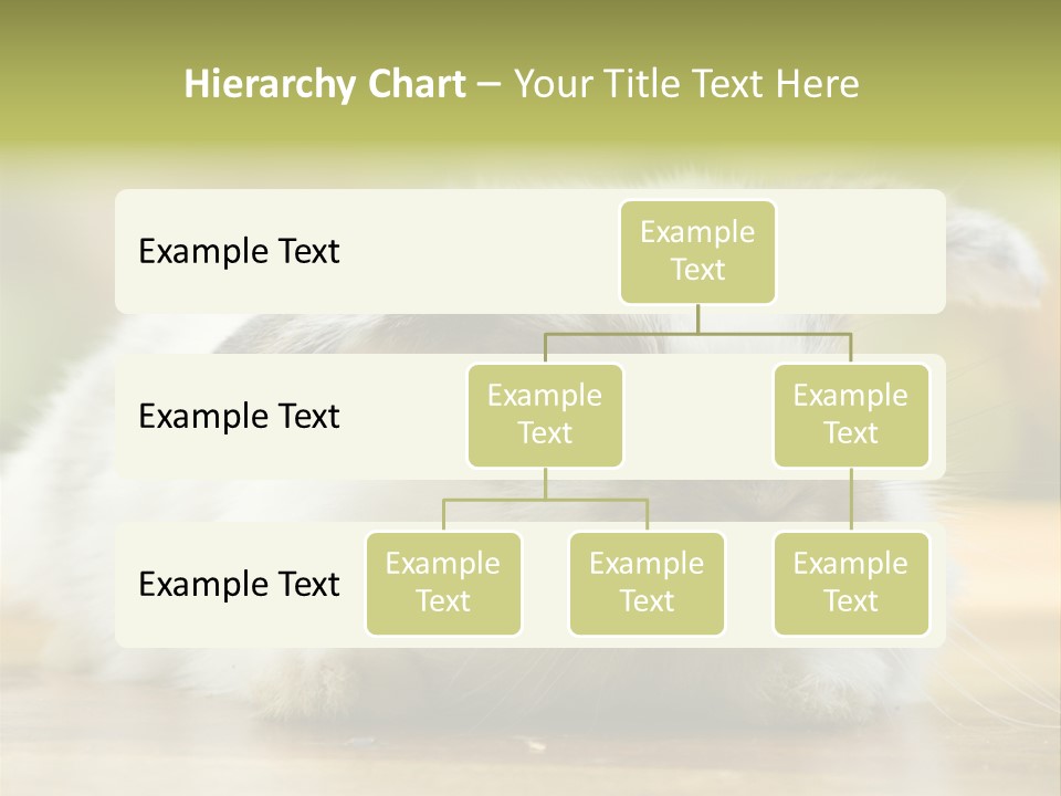 Furry Shot View PowerPoint Template