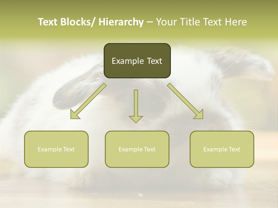 Furry Shot View PowerPoint Template