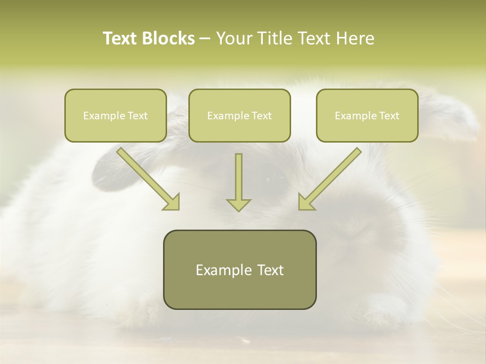 Furry Shot View PowerPoint Template