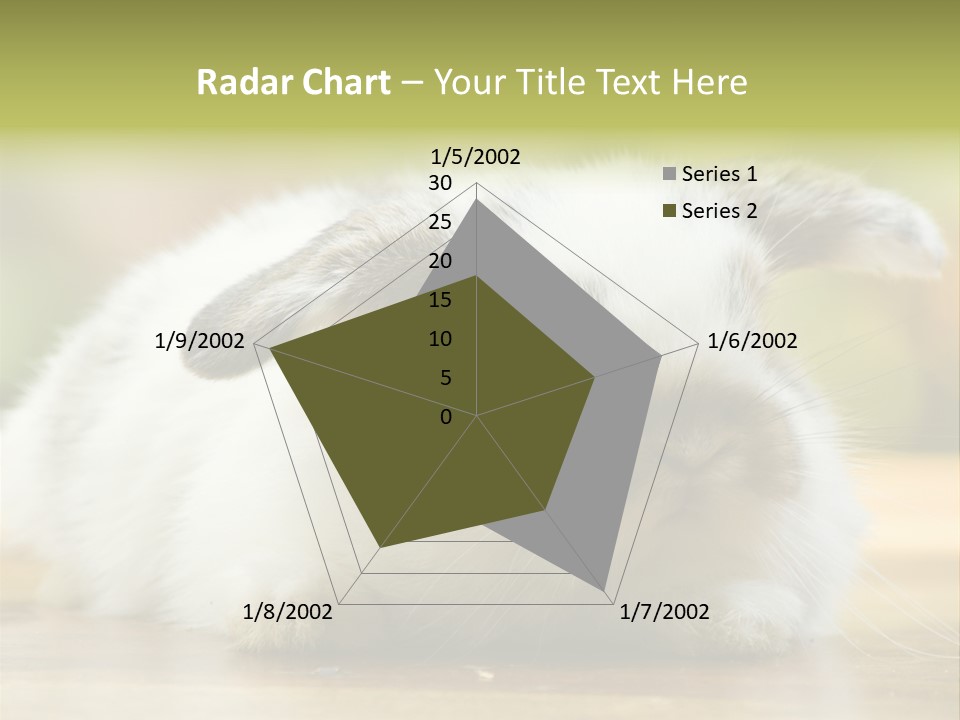 Furry Shot View PowerPoint Template
