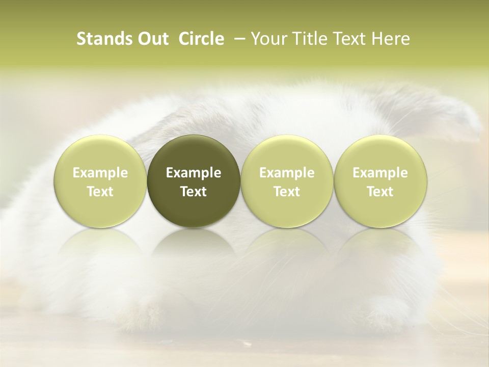 Furry Shot View PowerPoint Template