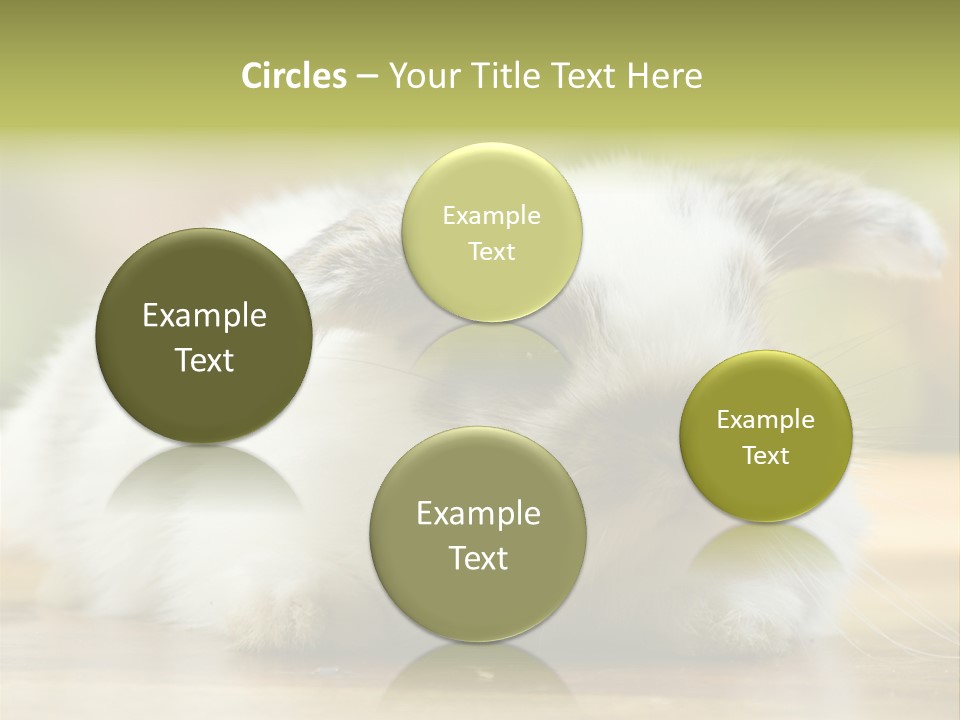 Furry Shot View PowerPoint Template