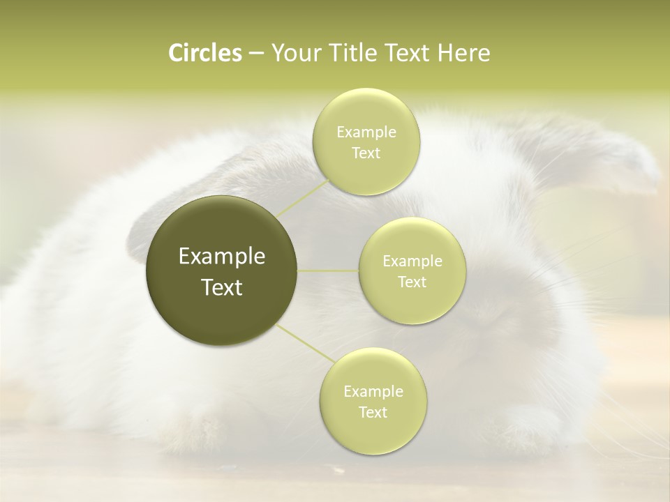 Furry Shot View PowerPoint Template