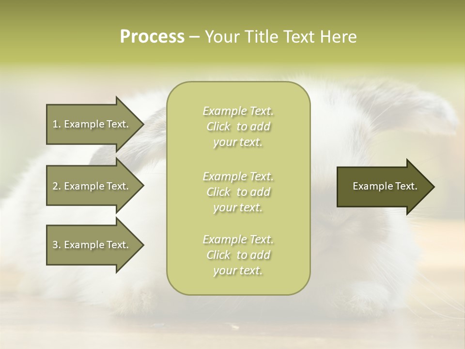 Furry Shot View PowerPoint Template