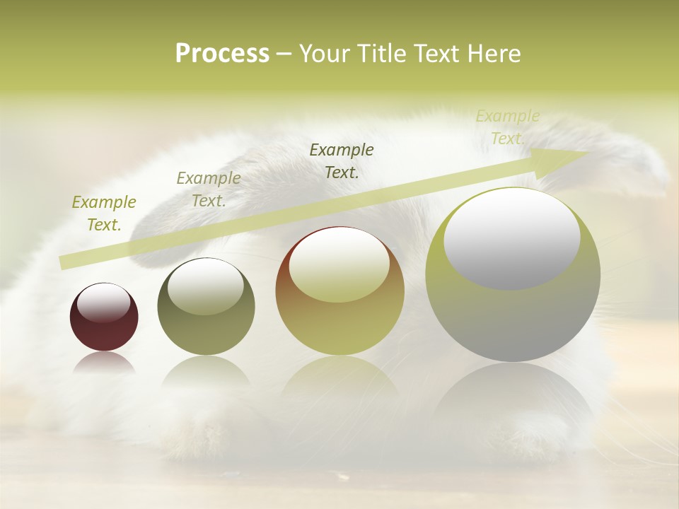 Furry Shot View PowerPoint Template