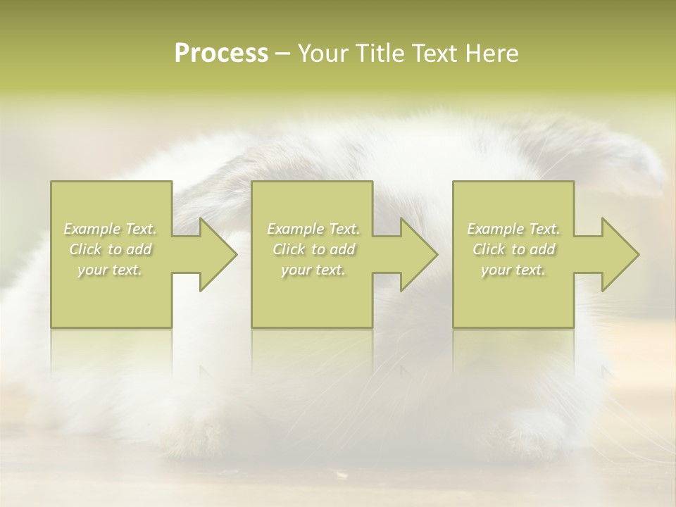 Furry Shot View PowerPoint Template